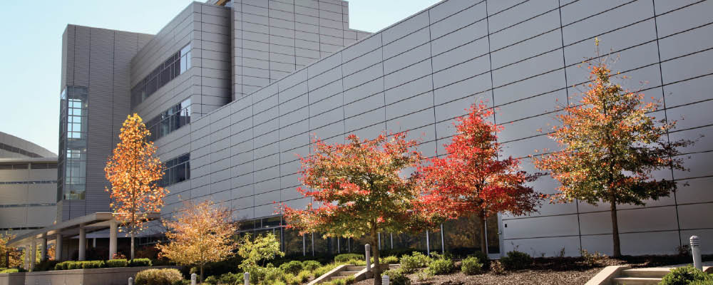 cnms-leaves-turning-thumb.jpg Exterior of the Center for Nanophase Materials Sciences (CNMS).