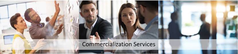 Commercialization Services